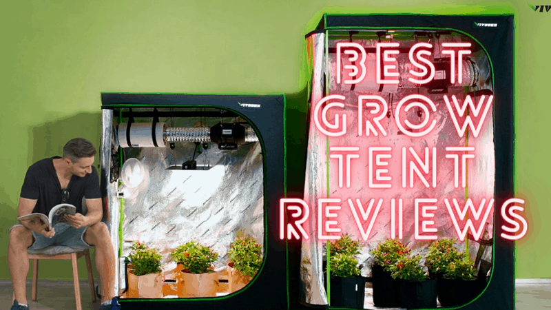 Top 10 Best Grow Tent in 2023 – Expert’s Review