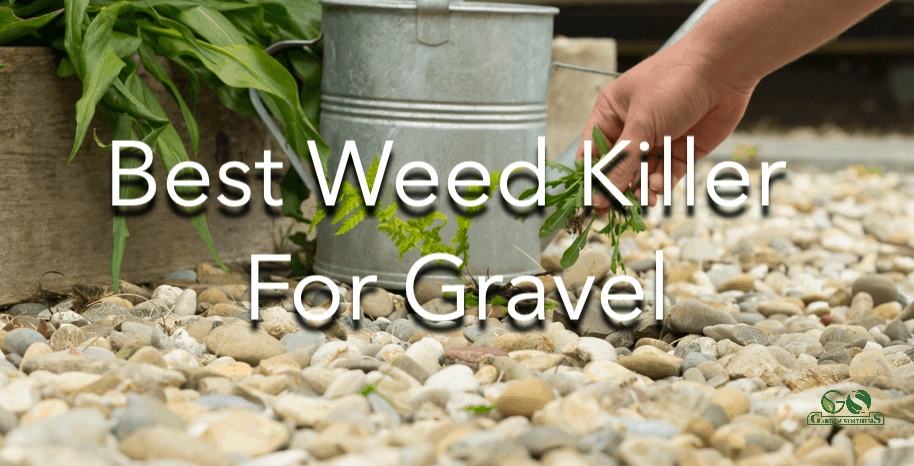Best Weed Killer For Gravel 