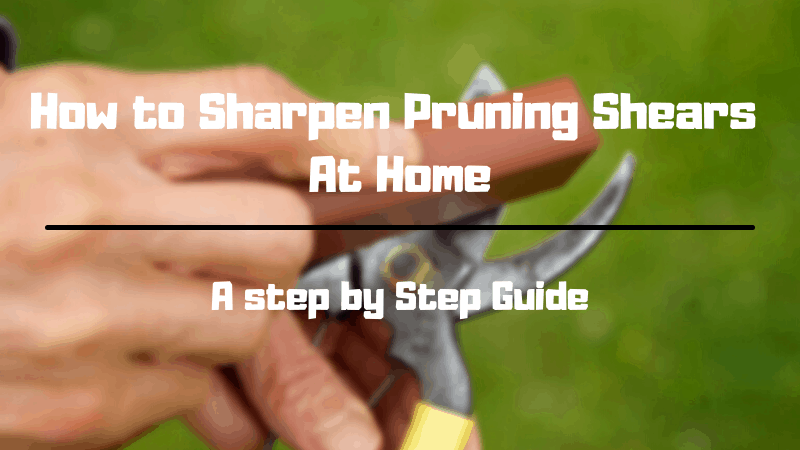 How to Sharpen Pruning Shears At Home – Step by Step Guide