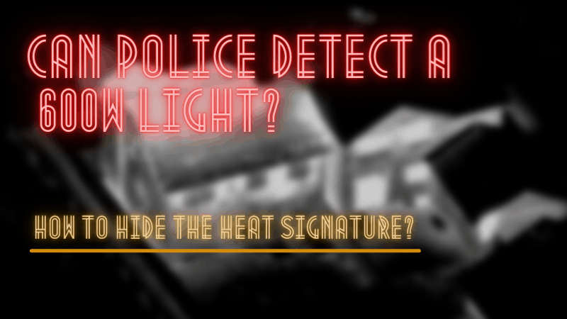 Can Police Detect 600 Watts Light? How To Hide The Heat Signature?