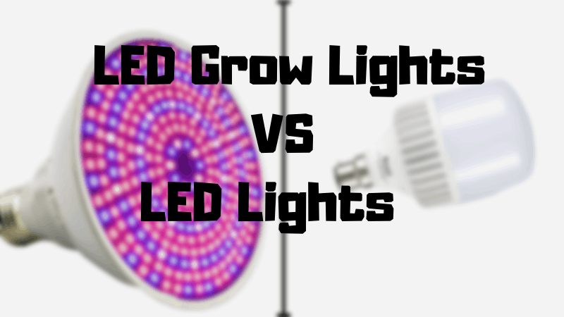 What Are The Difference between LED Lights and LED Grow Lights