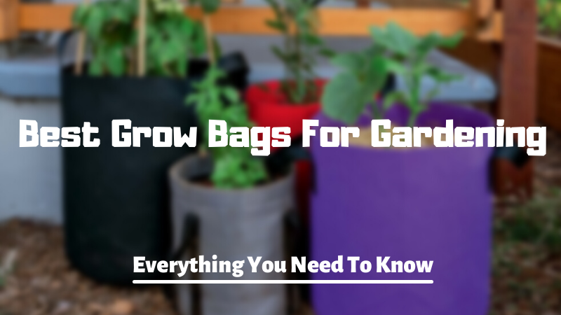 Top 10 Best Grow Bags For Gardening 