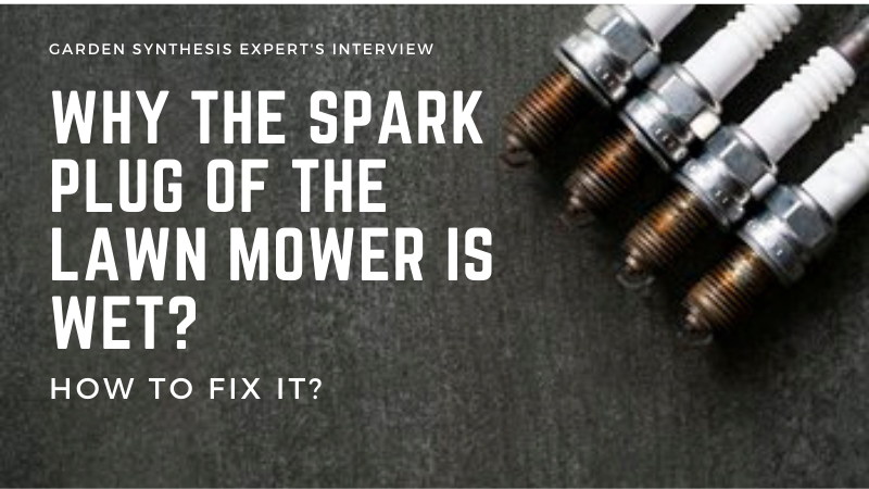 Why The Spark Plug of The Lawn Mower is Wet? How To Fix It?