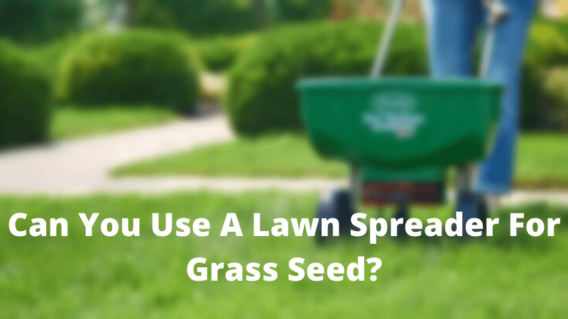 Can You Use A Lawn Spreader For Grass Seed?
