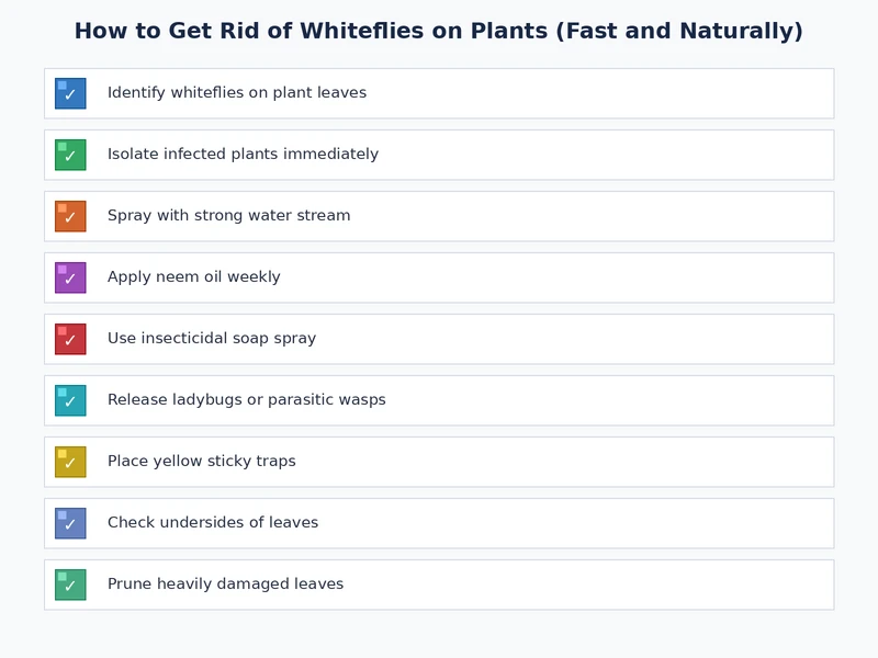 Checklist of natural whitefly control steps covering physical removal, organic sprays, and long-term prevention