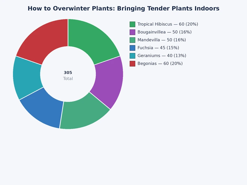 comparison chart of overwintering methods for tender plants including dormant storage and active indoor growing