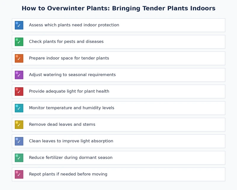 overwintering plants indoors checklist covering pest inspection, acclimatization steps, and spring re-introduction