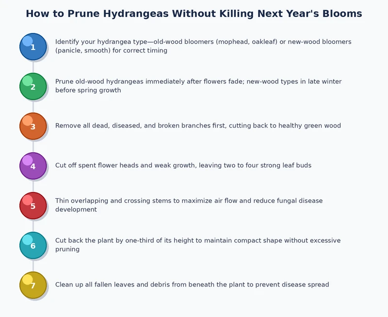 step-by-step process diagram for how to prune hydrangeas by species type
