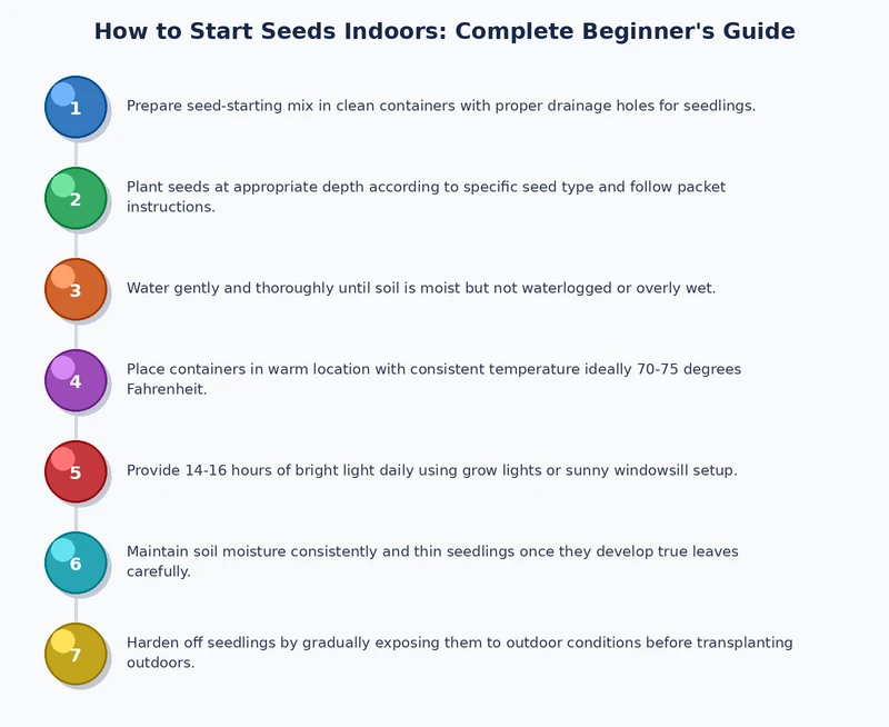 step-by-step process diagram showing indoor seed starting from sowing to outdoor transplant