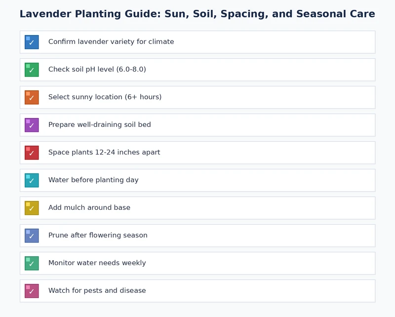 lavender planting care checklist covering sun soil spacing watering and seasonal pruning