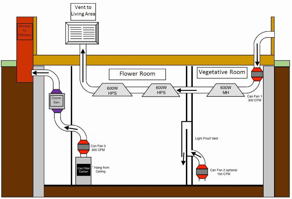 Grow Tent Ventilation Setup