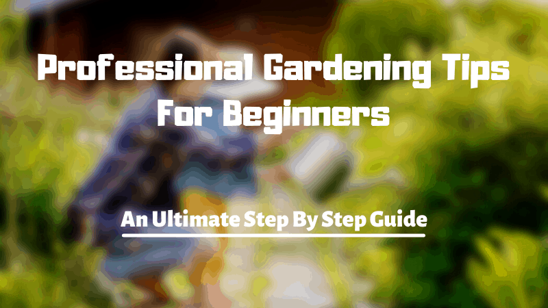 32 Pro Steps To Start Gardening – Gardening Tips For Beginners