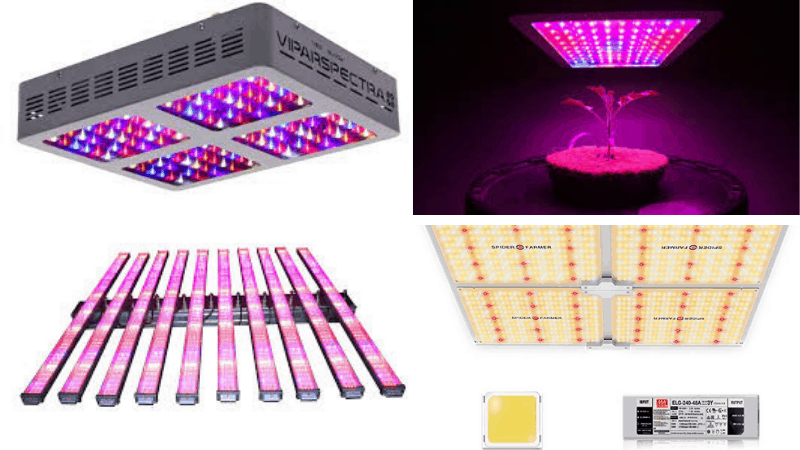 Types Of LED Lights For Indoor Gardening