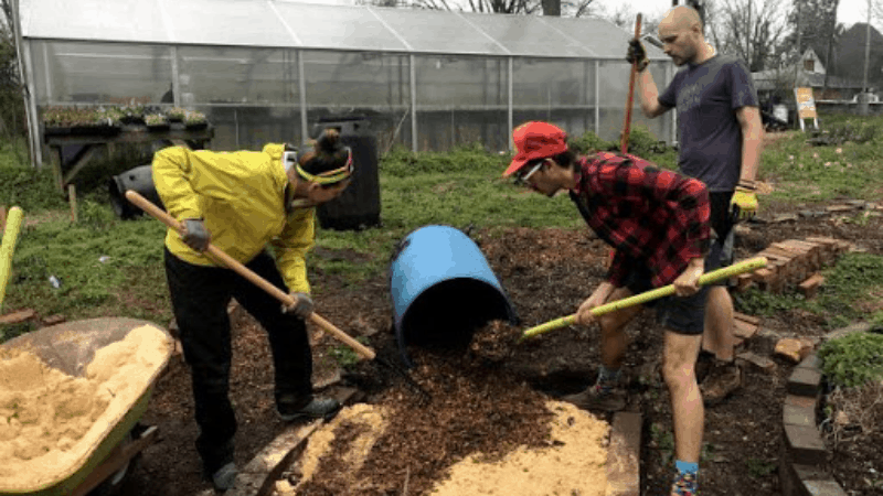 Filling And Spawning To Grow Mushroom Bed