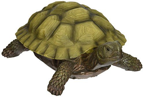 Best Toscano Statue For Lawn - Gilbert The Box Turtle Garden Statue