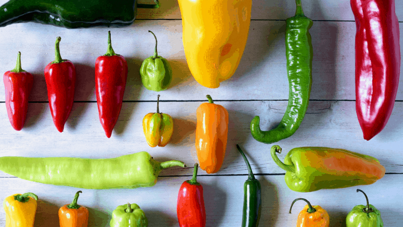 Hot Peppers Can Kill Spider Mites