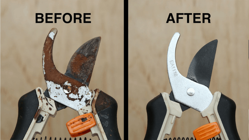 How To Clean The Rust Of The Pruning Shear