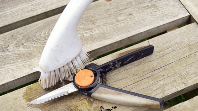 How To Scrub The Pruning Shear