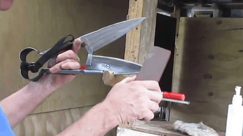 How To Sharp The Blade Of The Pruning Shear