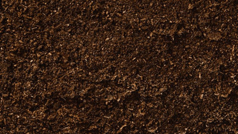 How You Will Understand That The Soil Consumed The Fertilizer Perfectly