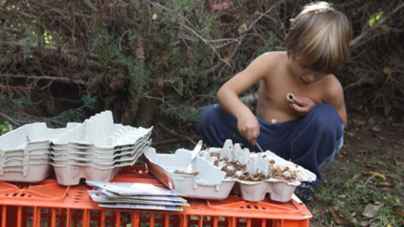 How To Water The Tomato Seeds In Egg Cartons
