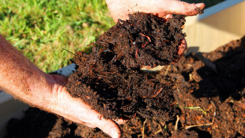 Amend The Soil With Compost