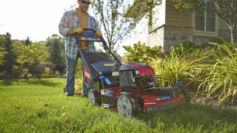 How To Green Up A Lawn Fast - Regular Mowing Of Your Lawn