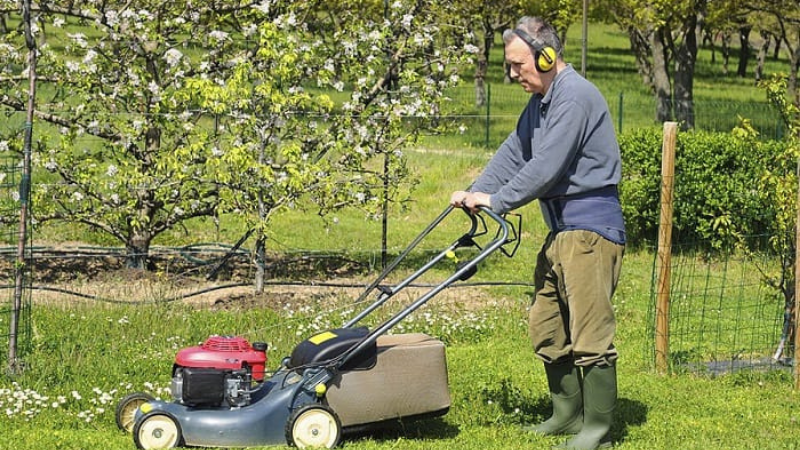 Wear Protective Earplugs While Running Lawn Mower