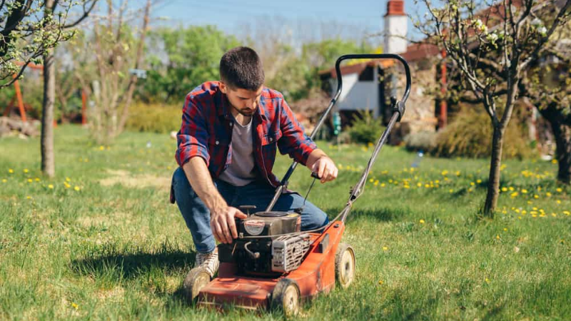 Why Is My Lawnmower Clicking - Lawnmower Power Line Disturbance