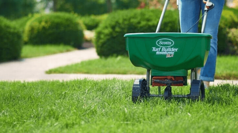 Can You Use Lawn Spreader For Grass Seed?