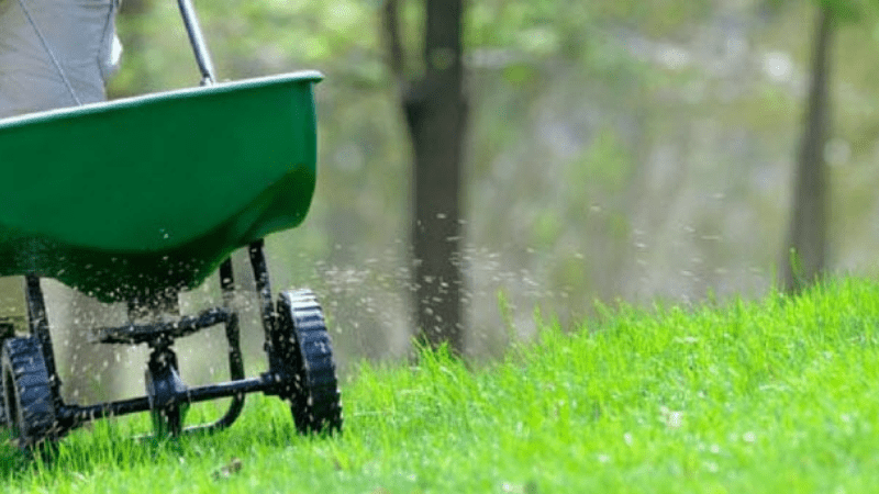 How To Use A Fertilizer And Seed Spreader?