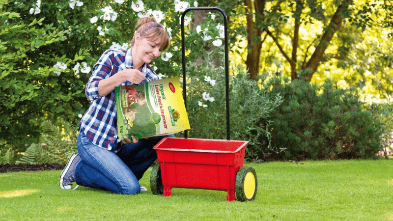When To Apply Weed & Feed In Lawn?