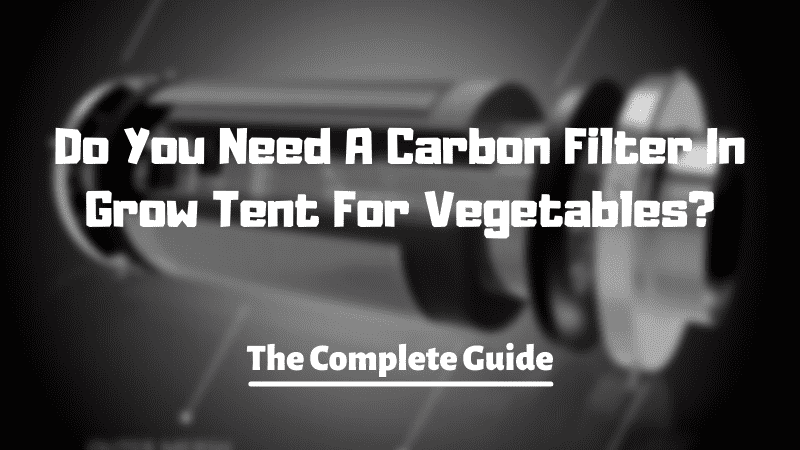 Do You Need A Carbon Filter In Grow Tent For Vegetables?