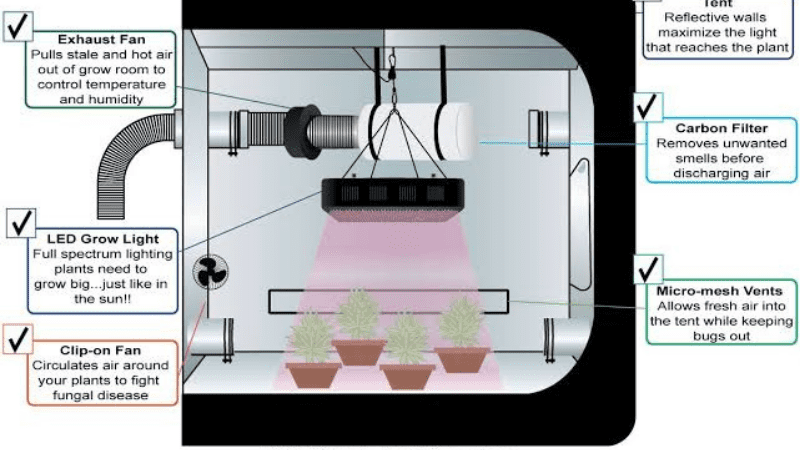Is It Necessary To Use A Carbon Filter In A Grow Tent?
