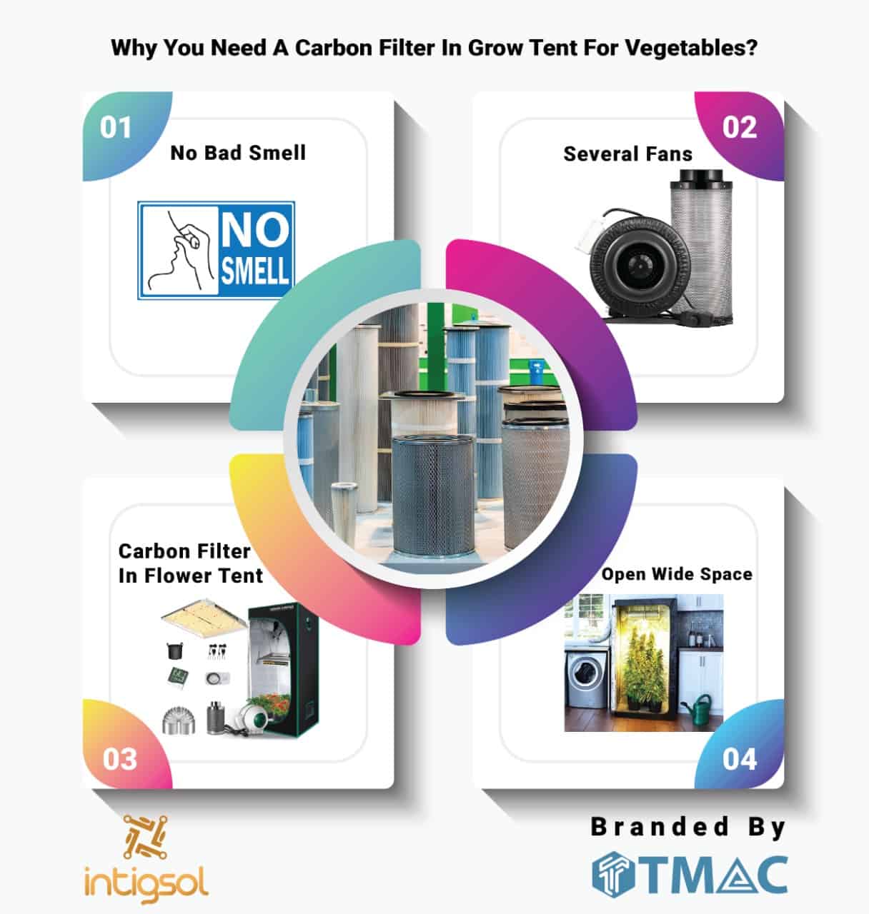 Why You Need A Carbon Filter In Grow Tent For Vegetables